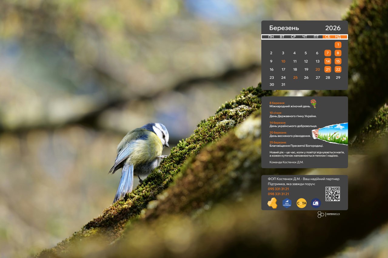 Зустрічайте весну яскраво! Березневі шпалери для вашого робочого столу!